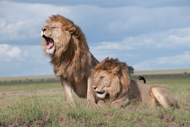 6 Days Amboseli, Lake Naivasha and Masai Mara Adventure - Private transport and the value of personal service