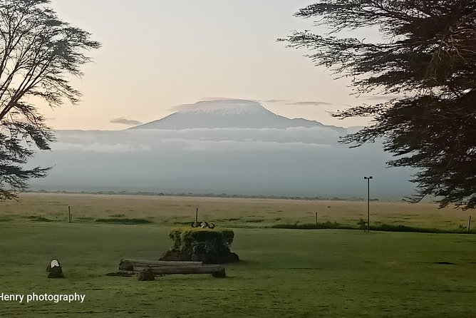 6 Days Amboseli, Lake Nakuru and Masai Mara - Day 5: Eight hours in Maasai Mara