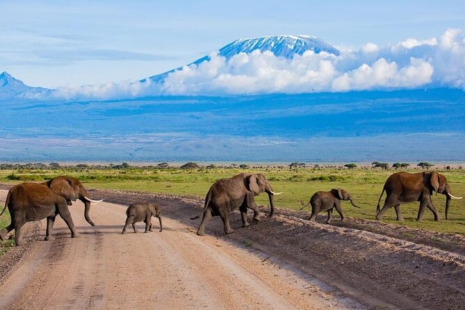6 Days Group Multi Day Tour Masai Mara Lake Nakuru and Amboseli - Day 4: Lake Nakuru’s rhinos and flamingos