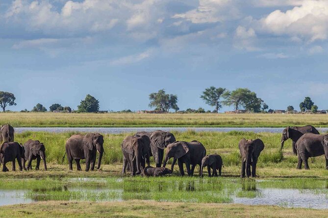 6 Days Group Multi Day Tour Masai Mara Lake Nakuru and Amboseli - Day 2: A full day searching Masai Mara