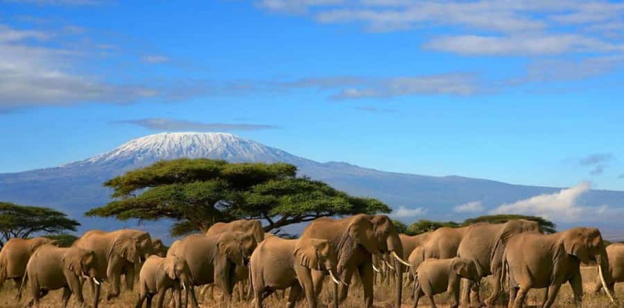 6 Days, Group Safari to Masai Mara, Lake Nakuru and Amboseli - Day one: Nairobi to Maasai Mara via the Rift Valley