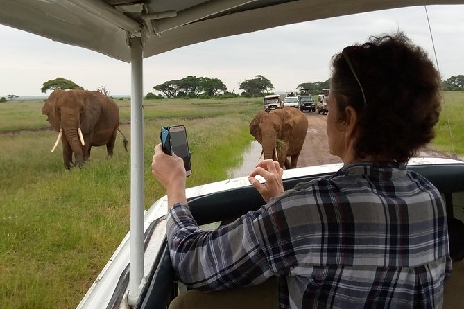 6 days guided safari: nairobi / lake nakuru / lake naivasha / masai mara n r - Day 4: The Masai Mara becomes the main event