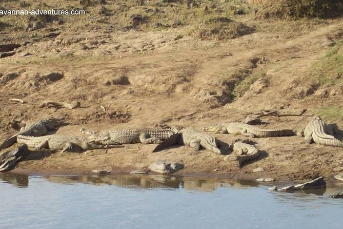 6 days guided safari: nairobi / lake nakuru / lake naivasha / masai mara n r - What the $1,896.97 price covers