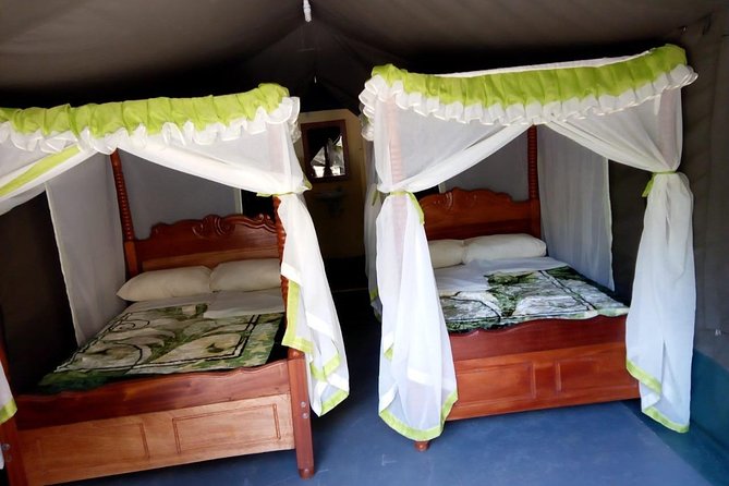 6 Days in Masai Mara- Lake Nakuru- Amboseli - Day six: morning wildlife and onward travel