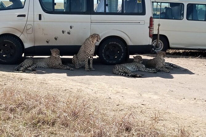 6 Days Kenya Masai Mara,Lake Nakuru & Amboseli Wildlife Safari - What the $2,000 price really covers