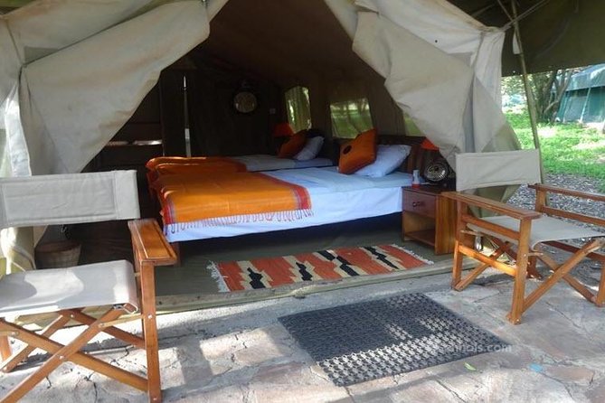 6 Days Maasai Mara/Nakuru/Amboseli Group Safari - Three parks, one tightly packed Kenyan safari