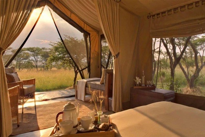 6 Days Maasai Mara/Nakuru/Amboseli Group Safari - Day 4: Lake Nakuru before the long run to Amboseli