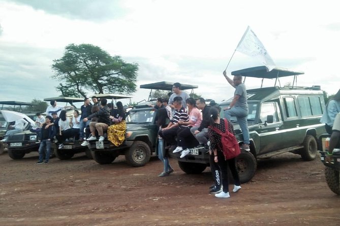 6 Days Maasai Mara/Nakuru/Amboseli Group Safari - Day 6: The final drive back to Nairobi