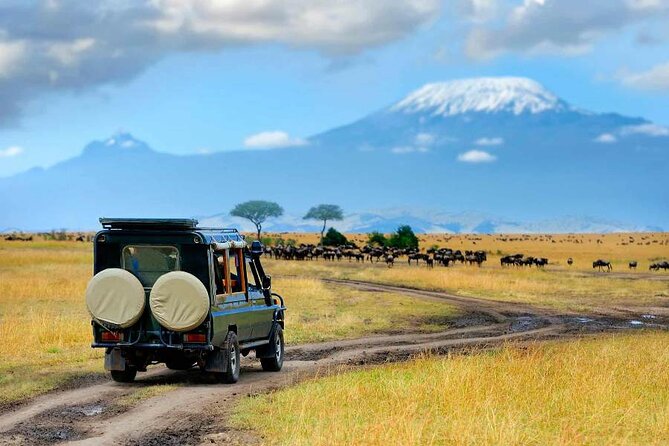 6 Days Masai Mara, Lake Nakuru and Amboseli Budget Group Safari - Day 1: The Rift Valley viewpoint and first Maasai Mara drive