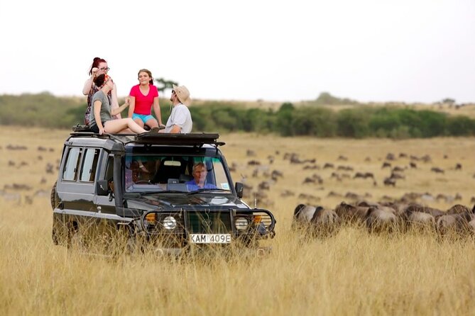 6-Days Masai Mara, Nakuru & Amboseli Group Safari on Landcruiser - Day 4: Nakuru wildlife, then a long run toward Amboseli