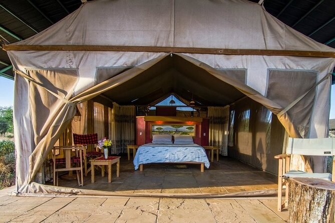 6 Days Masai Mara-Nakuru-Amboseli - Lodge Safari-Private 4X4 JEEP - Day 2: A full day among Masai Mara’s predators