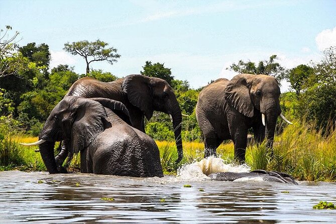 6-Days of Elephants, Wildebeest and Big 5: Kenya’s Classic Safari - What $2,848 per person buys you