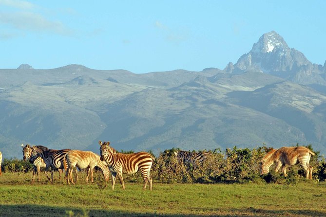 6 Days of Kenyan Wonders: Amboseli, Lake Nakuru, and Masai Mara - Day 4: From Nakuru to the Masai Mara