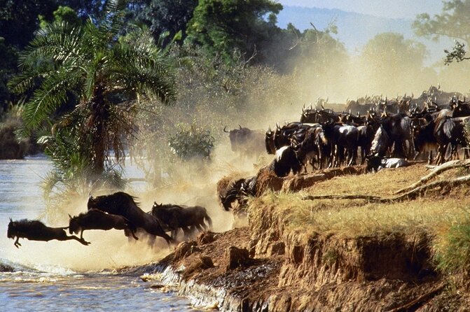 6 Days of Kenyan Wonders: Amboseli, Lake Nakuru, and Masai Mara - Day 6: A Maasai village visit and the road back to Nairobi
