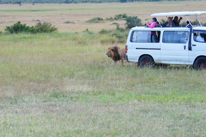 6 Days private safari package Kenya - Nairobi to Amboseli: the first move