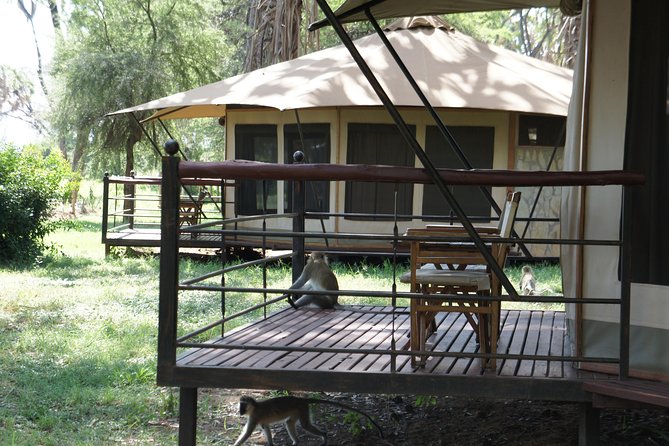 6 Days private safari package Kenya - Accommodation and comfort: confirm the fine print