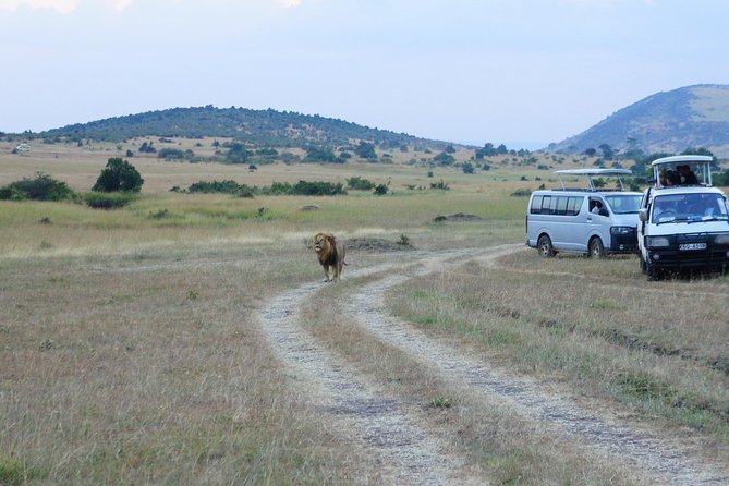 6 Days private safari package Kenya - Guides, planning, and the human side