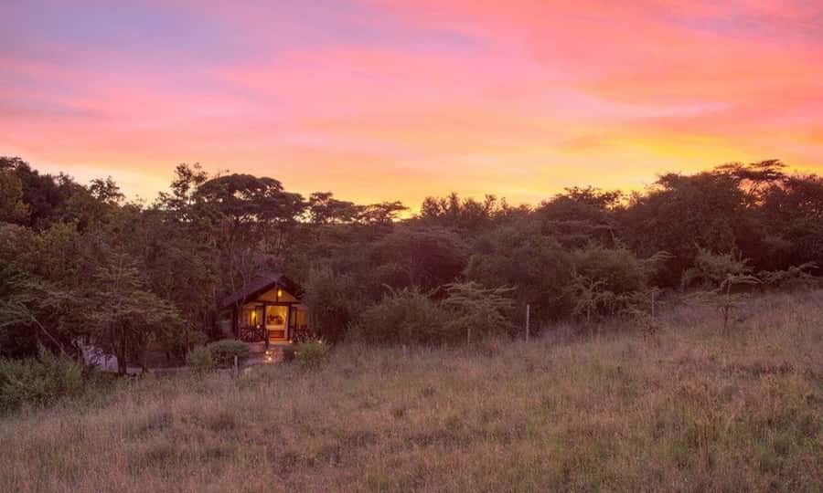6 Days Small Group Safari To Masai Mara, Nakuru And Amboseli - Why this safari covers Kenya so well