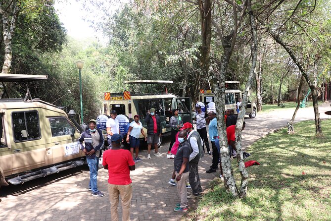 6 nights 7 days Masai Mara budget safari. - Day 6: Returning to Nairobi for lunch