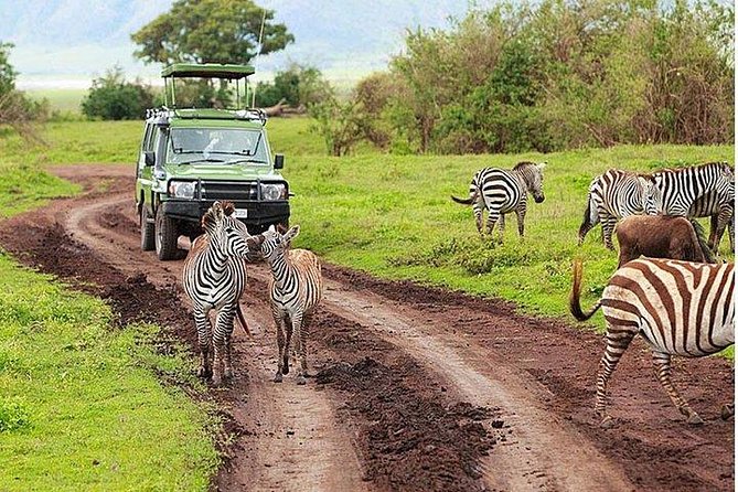 6Days Amboseli, Lake Nakuru and Masai Mara Camping Safari on Jeep - Day 3: The long move to Lake Nakuru