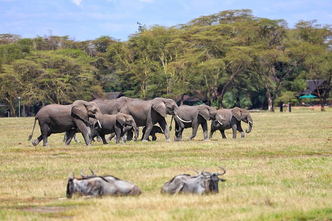 6days Masai mara-lake nakuru via Lake naivasha-Amboseli 4x4 jeep Safari - What the private 4x4 setup means