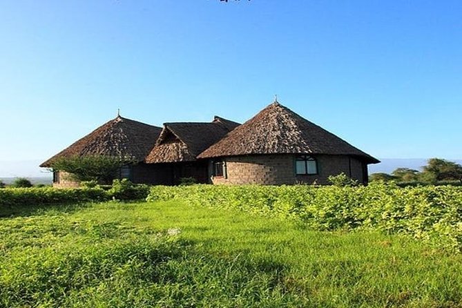 7 Day Maasai Mara, Lake Nakuru, Lake Naivasha and Amboseli Safari - Day 6: Elephants beneath Mount Kilimanjaro