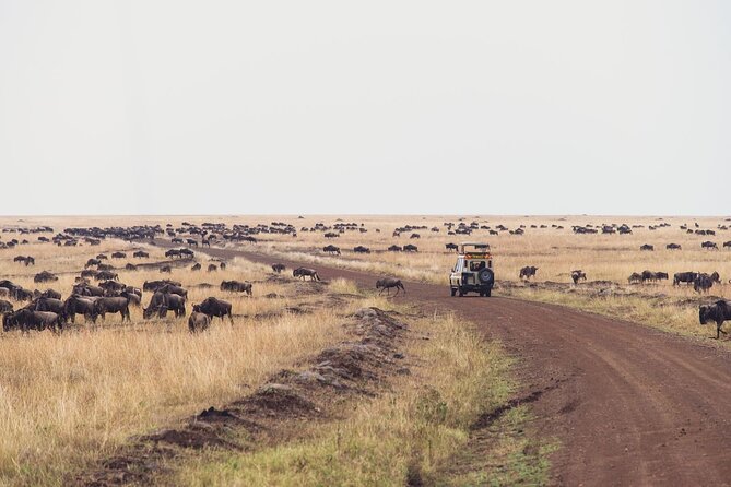7 Day Private Jeep Safari, 5 star lodges with Balloon Ride Kenya - Day 5: The long move to Amboseli