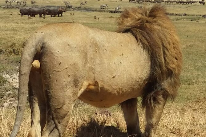 7-Day Private Safari to Amboseli National Park and Masai Mara - Day three: Lake Naivasha and the Great Rift Valley