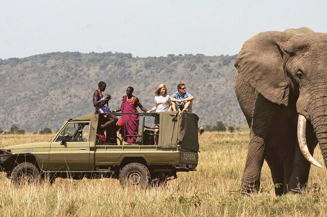 7-Day Private Tour in Kenya National Parks From Nairobi / Mombasa - Day 5: The Road to Amboseli and Kilimanjaro Views