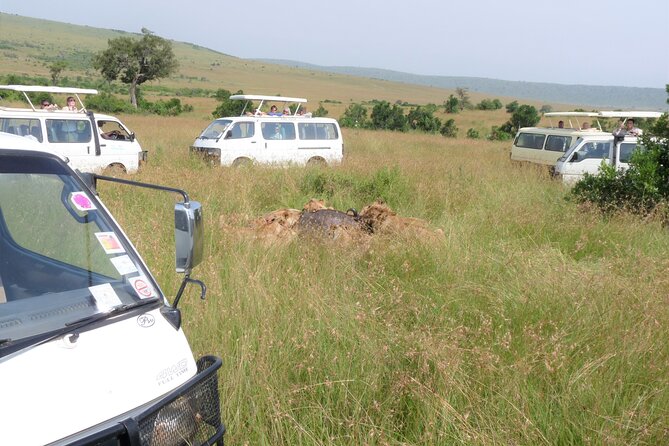7 Days Amboseli-Lake Naivasha-Lake Nakuru & Masai Mara - Day 2: A full game drive through Amboseli