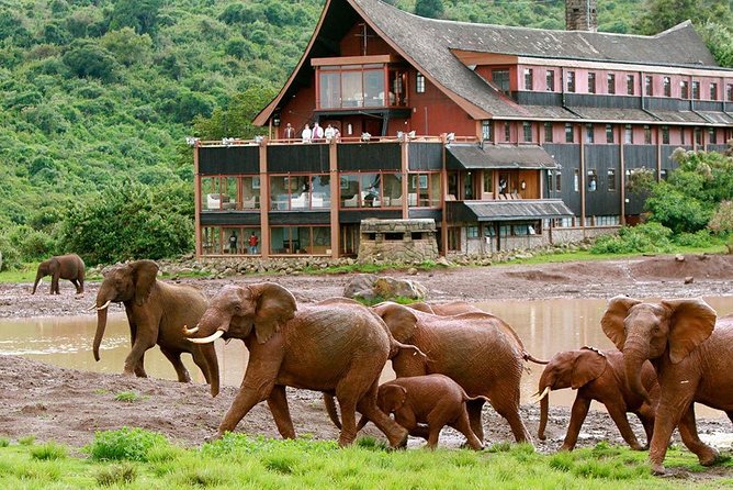 7 Days Breathtaking Kenya Wildlife Private Safari - Four parks, one ambitious Kenyan route