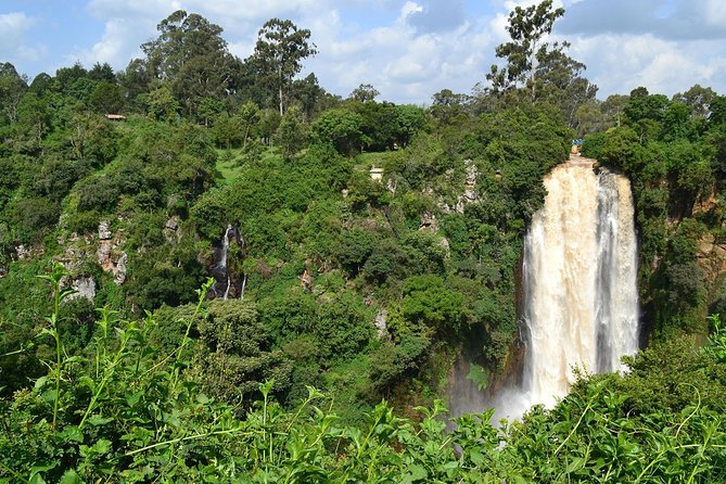 7 Days Breathtaking Kenya Wildlife Private Safari - Day 3: Aberdare’s forests and The Ark Lodge