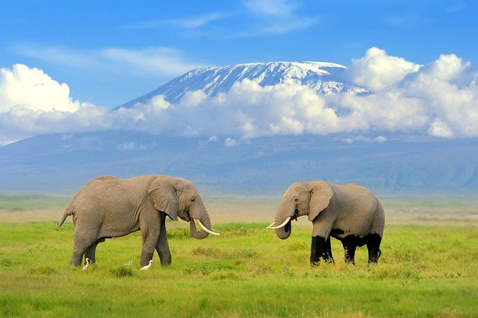 7 Days Breathtaking Kenya Wildlife Private Safari - Day 4: Thompson’s Falls and Lake Nakuru