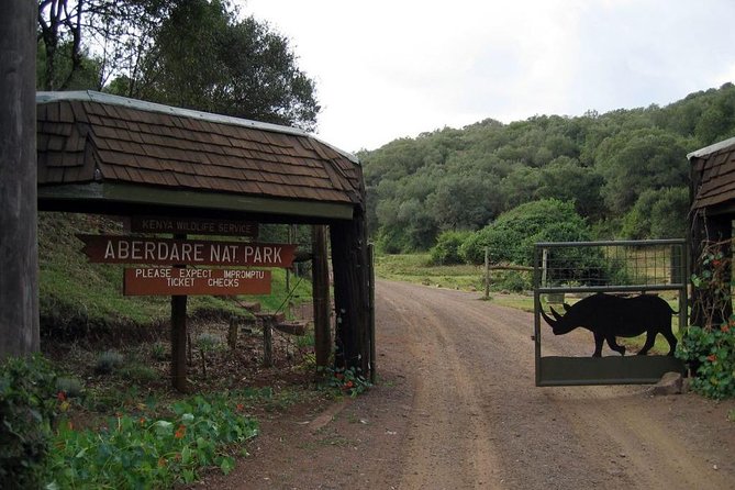 7 Days Breathtaking Kenya Wildlife Private Safari - Day 7: One final drive and the return to Nairobi