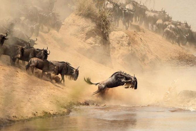 7 days Group Safari Masai Mara Lake Nakuru Hells gate & Amboseli - Day 4: A private Naivasha day with water instead of dust