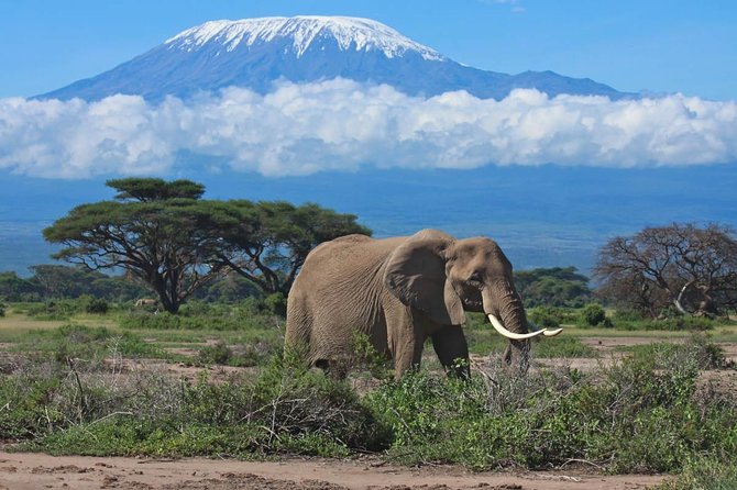 7 Days Into the Wild Wonder : Lodge Safari with Private 4x4 JEEP - Key points at a glance