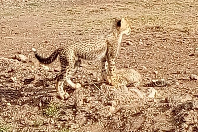 7 Days Kenyan Safaris - Lake Nakuru changes the scenery and wildlife mix