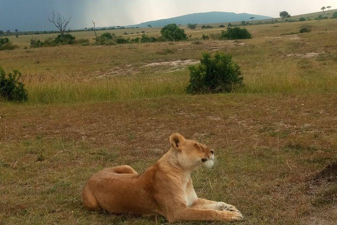 7 Days maasai mara - lake nakuru - lake naivasha- amboseli safari. - Day 5: Hell’s Gate before Amboseli