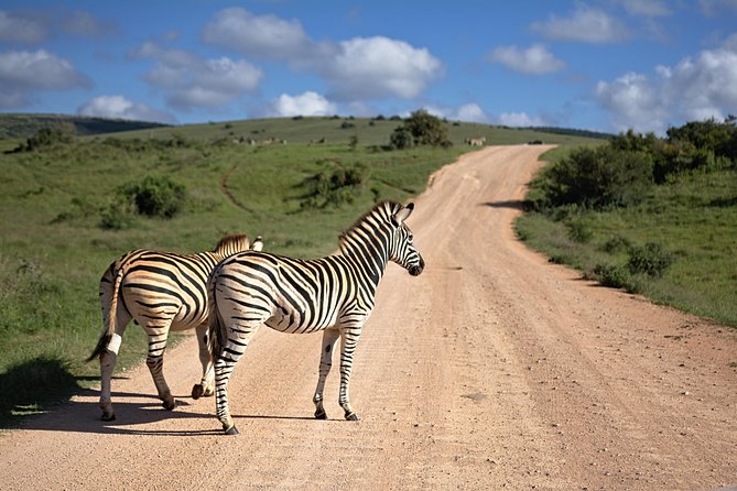 7 Days Mara/L.Naivasha/L.Nakuru/Amboseli - What this Kenya safari does well