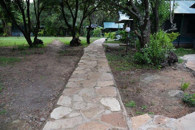 7 Days Mara/L.Naivasha/L.Nakuru/Amboseli - Day two, a full Maasai Mara wildlife day