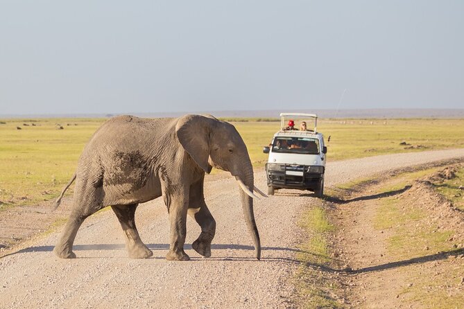 7 Days of Elephants, Rhinos & Big Five: The Best of Kenya Safari - Day 1: From Nairobi to Maasai Mara