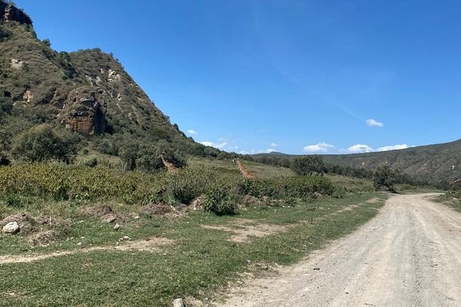 7 Days Private 4 star lodges Safari by LandCruiser from Nairobi - Day 4: Rhinos, Hell’s Gate, and Lake Naivasha
