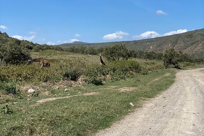 7 Days Private safari to 4 Star lodges using a Jeep - Day 4: Rhinos, bicycles, and a Naivasha boat ride
