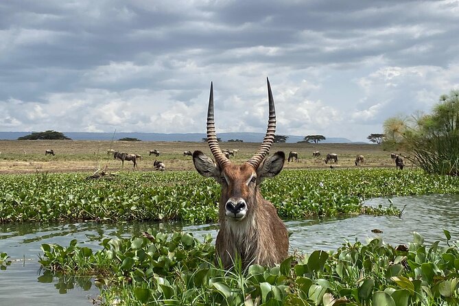 7 Days Private safari to 4 Star lodges using a Jeep - Day 5: A long move to Amboseli