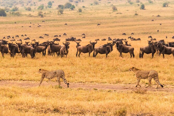 7 Days Safari to Maasai Mara, Nakuru, Naivasha and Amboseli - Day 4: Rhinos, Hell’s Gate, and Lake Naivasha