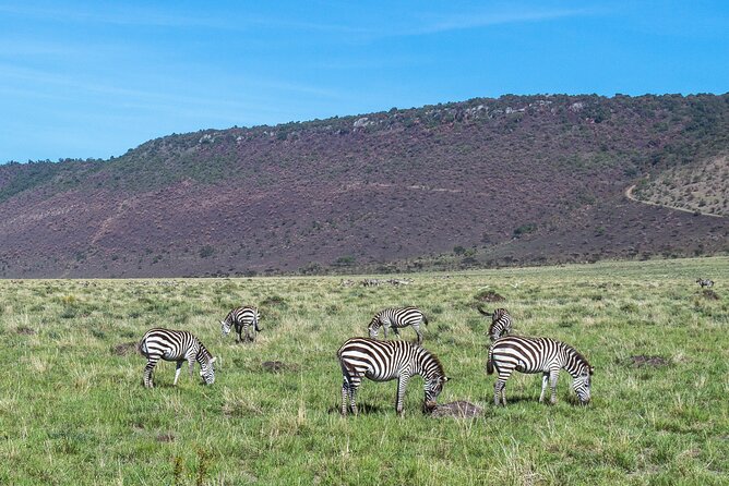 7 Days Safari to Maasai Mara, Nakuru, Naivasha and Amboseli - Day 5: The long move to Amboseli