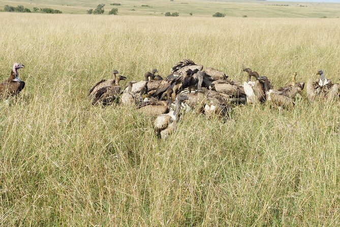 7 days Sopa lodges full private package - Day 3: The Great Rift Valley, Lake Naivasha, and Hell’s Gate