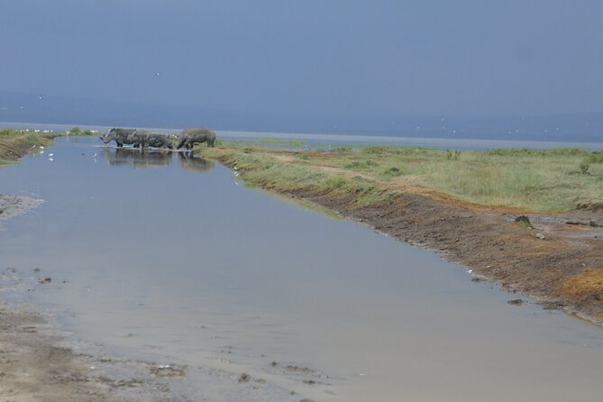 7 days Sopa lodges full private package - Lake Naivasha’s boat ride and what to confirm