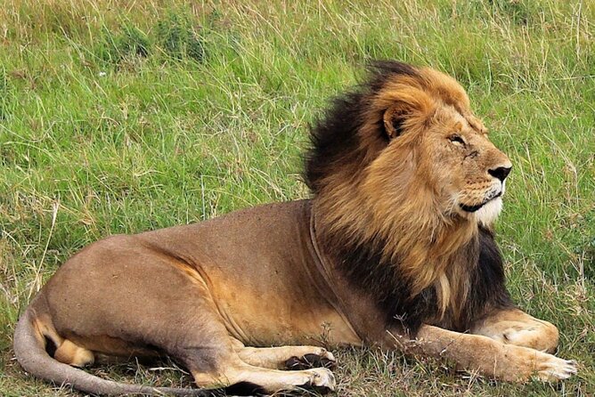 8 Day Bush and Beach Private Holiday Safari - A bush-to-beach trip with a useful change of pace