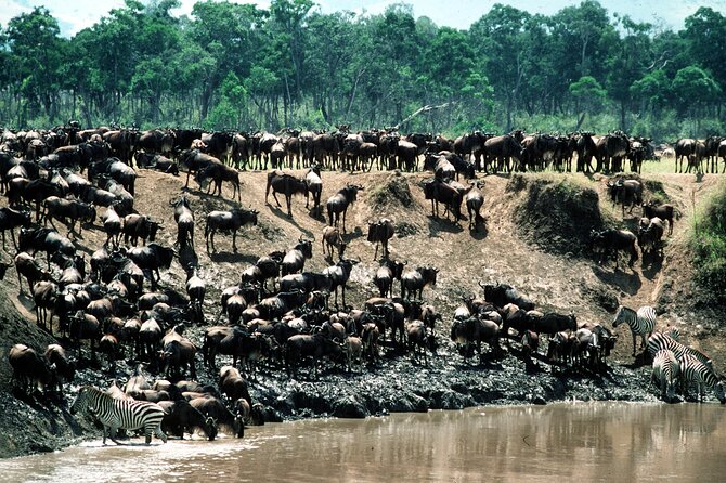 8 Days / 7 Nights 2021 / 2022 Wildebeest Migration Safari - Maasai Mara Reserve - Day 2: Crossing toward Samburu